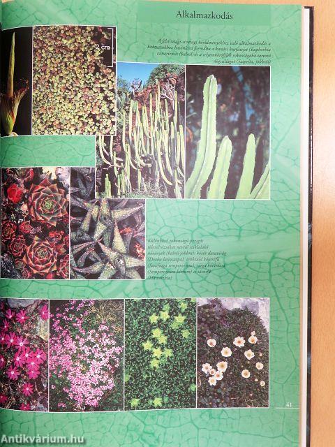 Barangolás a növényvilágban