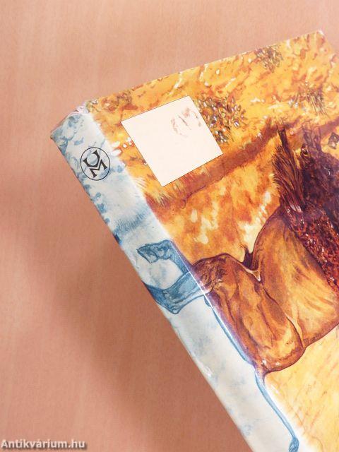 Indiánok és ősi kultúrák Észak-Amerikában