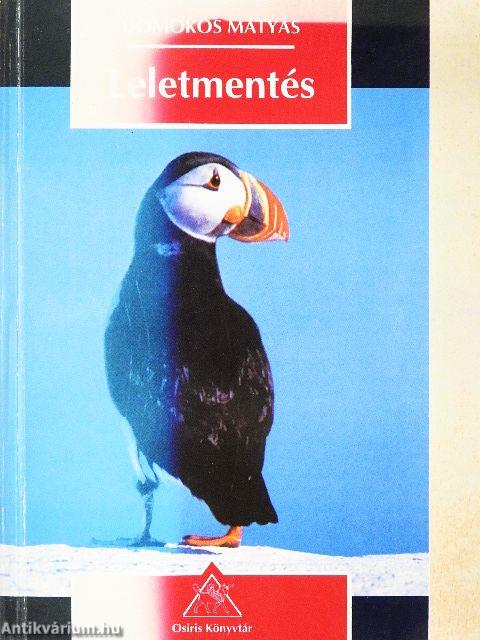 Leletmentés