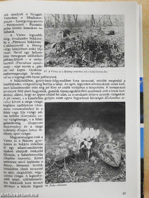 Egy cseppnyi Magyarország