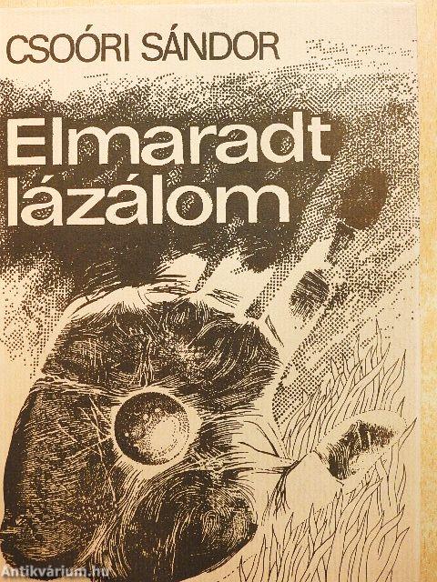 Elmaradt lázálom