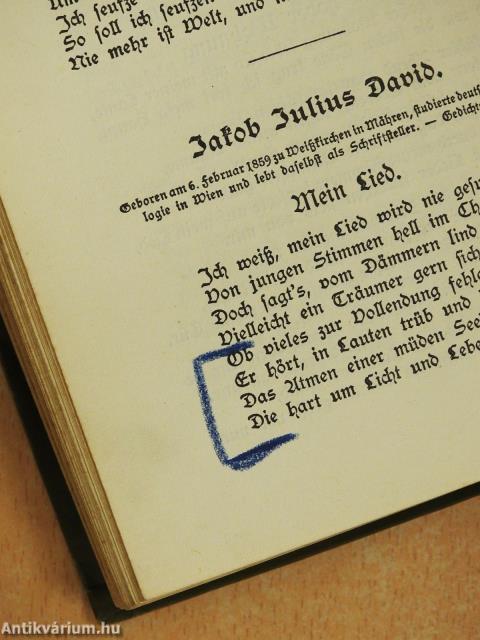 Deutsche Lyrik seit Liliencron (gótbetűs)