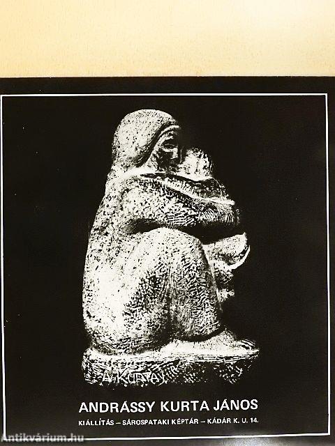 Andrássy Kurta János
