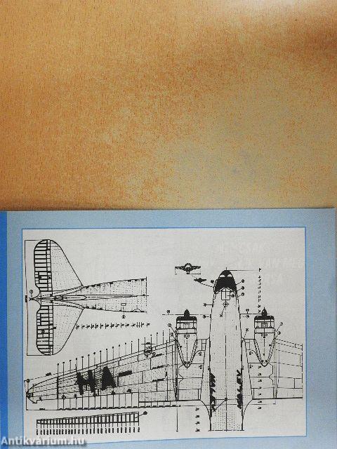 Aviatika-LI-2 "Teve"