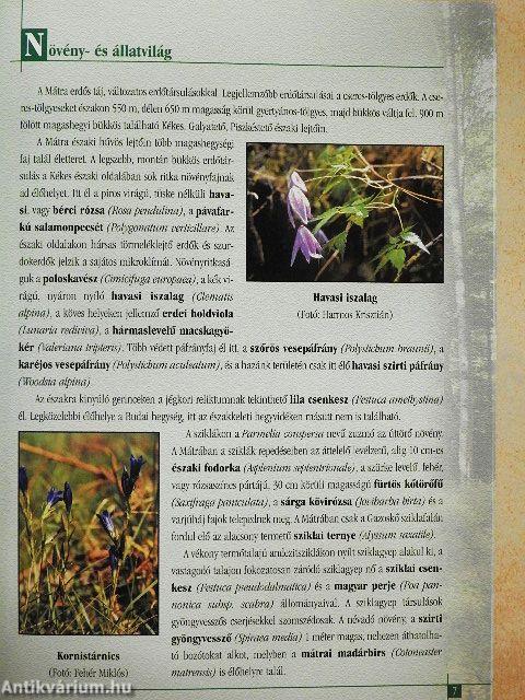 A Mátrai Tájvédelmi Körzet természeti értékei