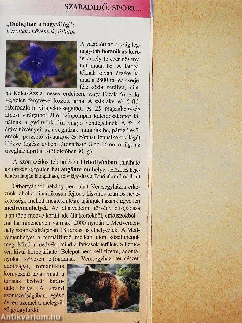 Gödöllő és környéke programajánlata