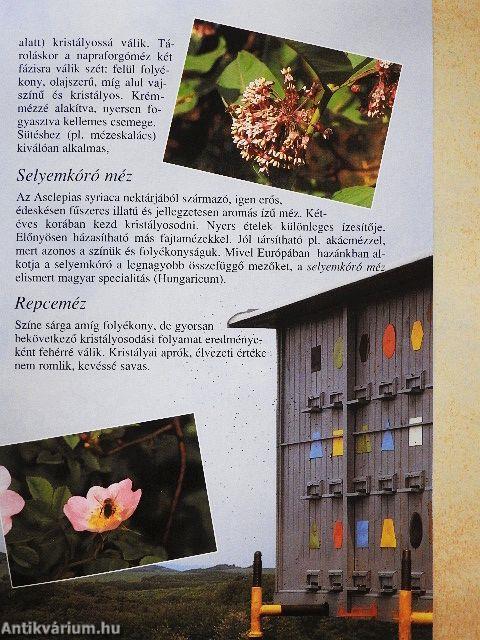 A magyar méz