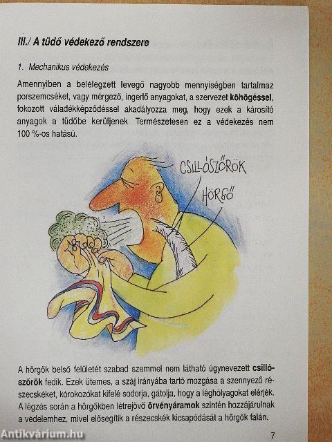 A légúti fertőzések megelőzése