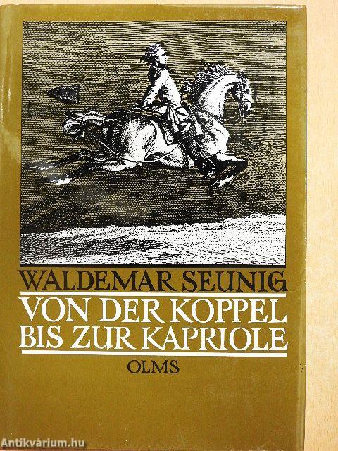 Von der Koppel bis zur Kapriole