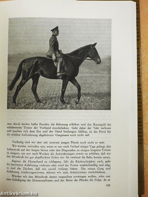 Von der Koppel bis zur Kapriole