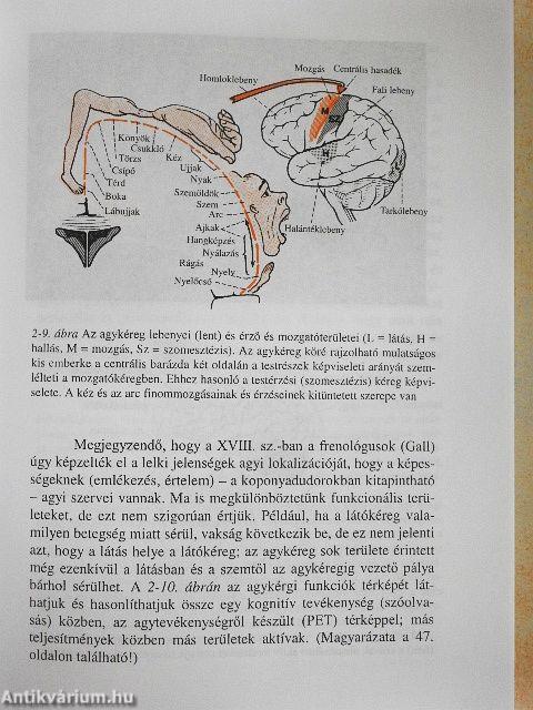 Általános pszichológia