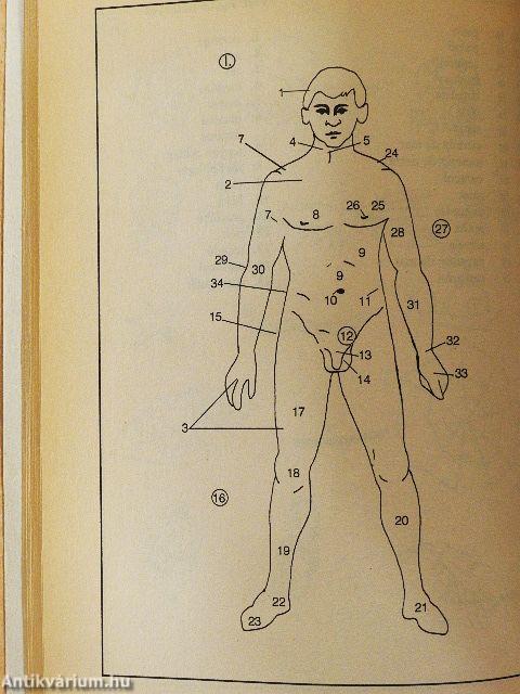 Spanyol-magyar képes szótár