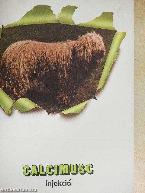 Állatgyógyászati és takarmányozási készítmények 1982