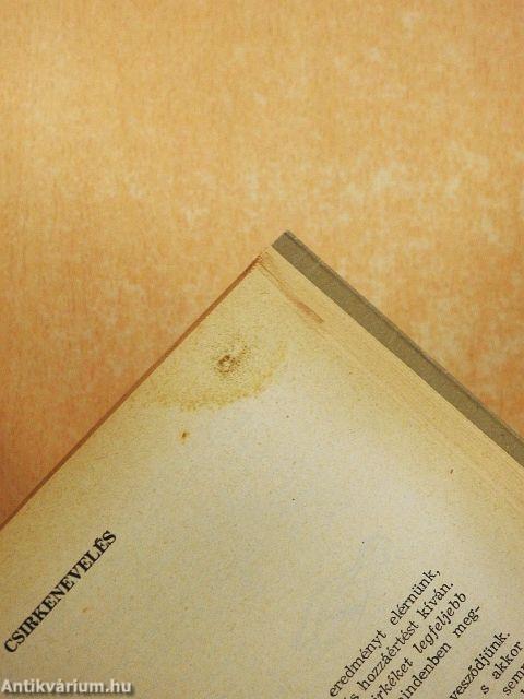 A baromfi tenyésztése