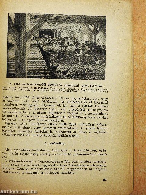 A baromfi tenyésztése