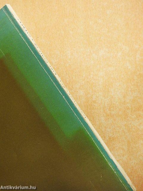 Kire ütött ez a gyerek?