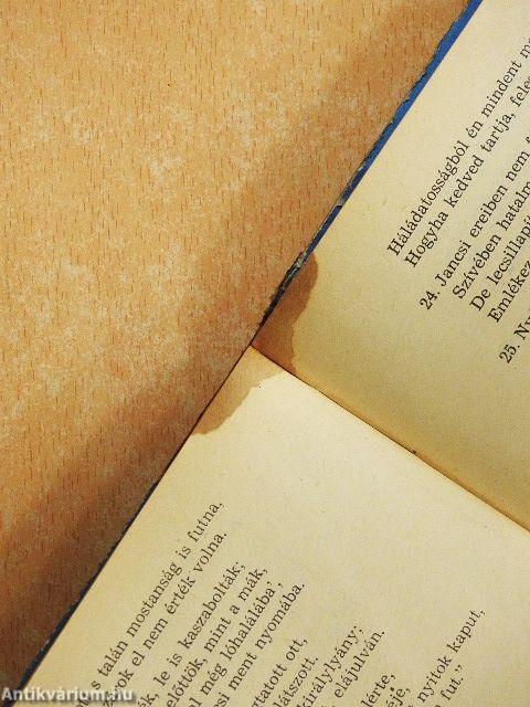 Magyar irodalmi olvasókönyv 5.