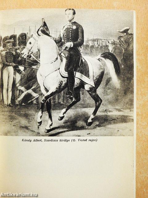 Egy nemzet születése