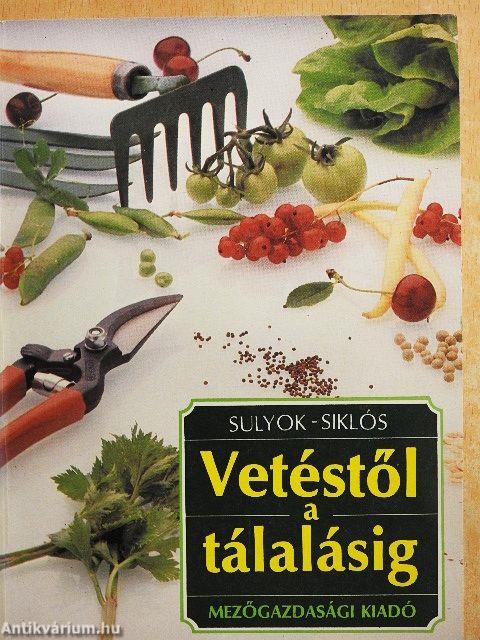 Vetéstől a tálalásig