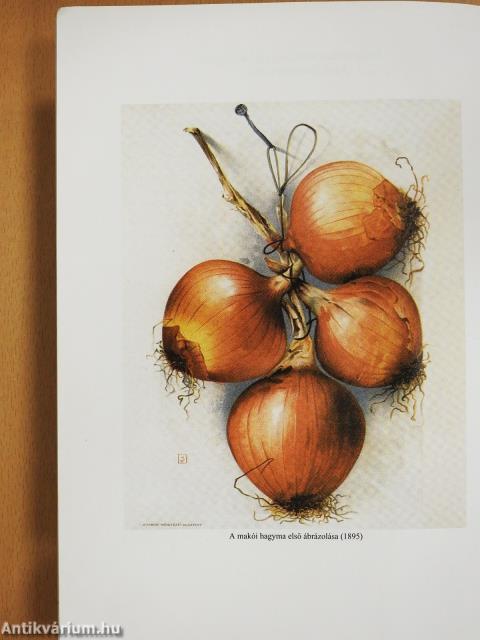 "Az otthonom pedig hát ott, Makón van" (dedikált példány)