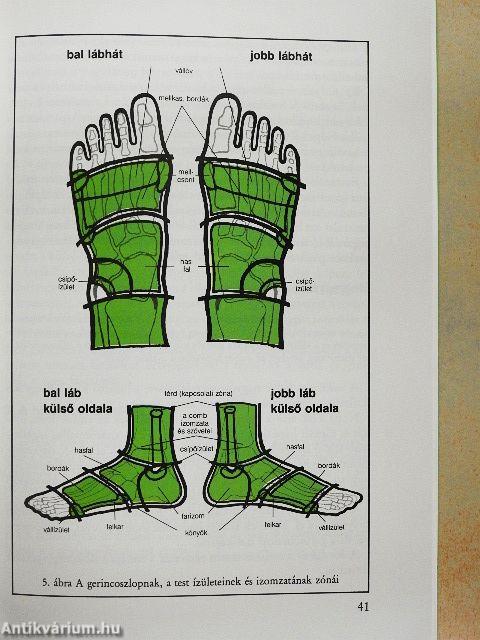 Reflexzónamasszázs lábon