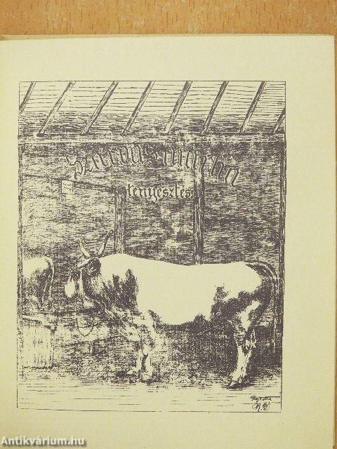 Szarvasmarhatenyésztés 1887/Lótenyésztés 1887