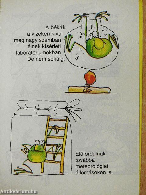 Amit a békákról feltétlenül tudni kell