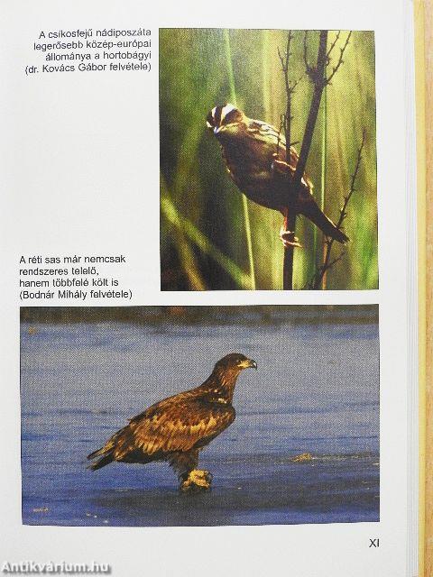 A Hortobágytól Bátorligetig