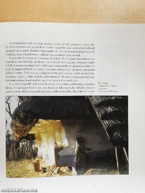 Pincejárás - From cellar to cellar