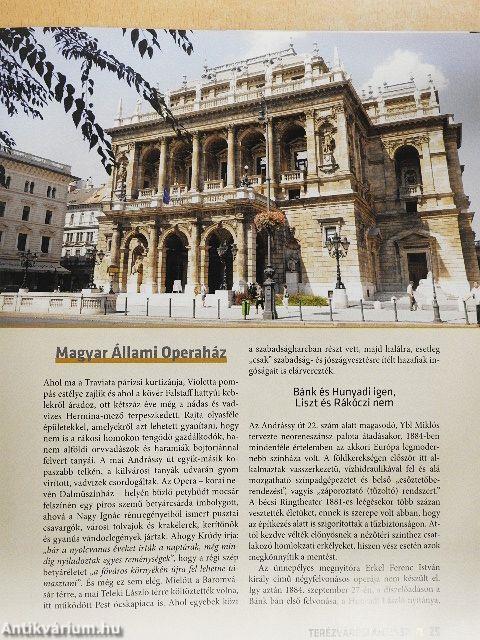 Terézvárosi anziksz