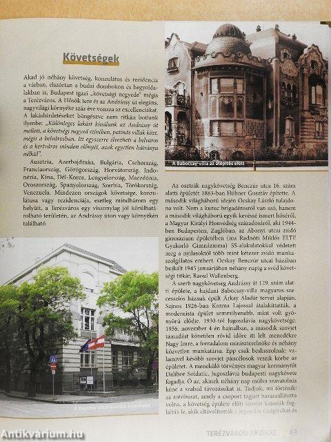 Terézvárosi anziksz