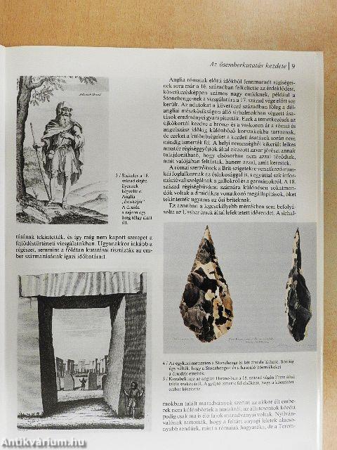 Az ember őstörténete