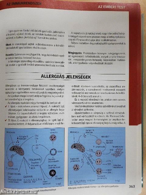 Új nagy egészségkönyv