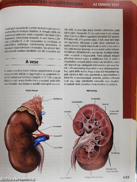Új nagy egészségkönyv