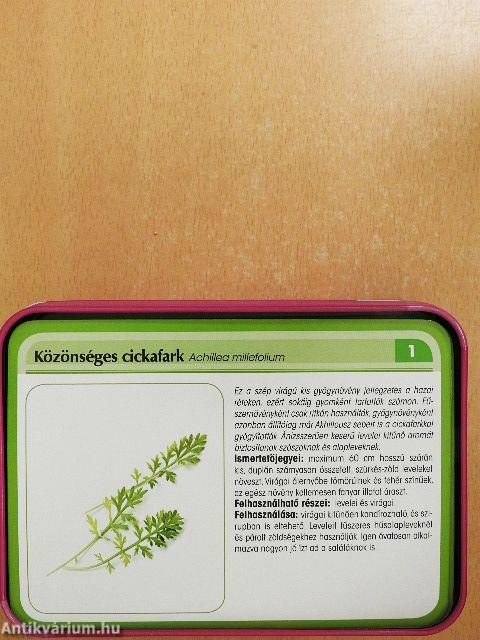 100 fűszernövény - kártyák