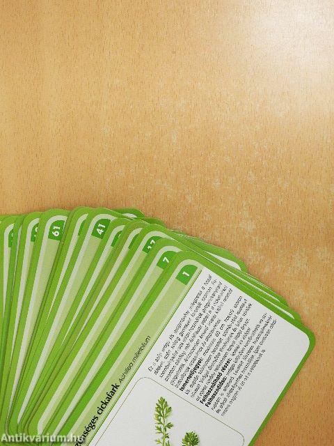 100 fűszernövény - kártyák