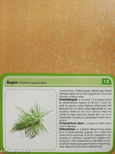 100 fűszernövény - kártyák