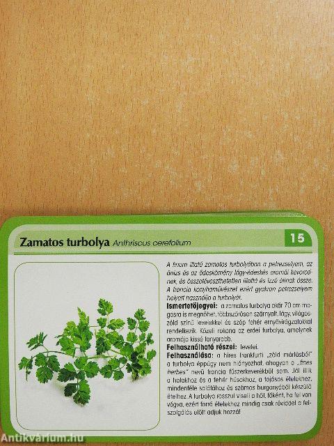 100 fűszernövény - kártyák