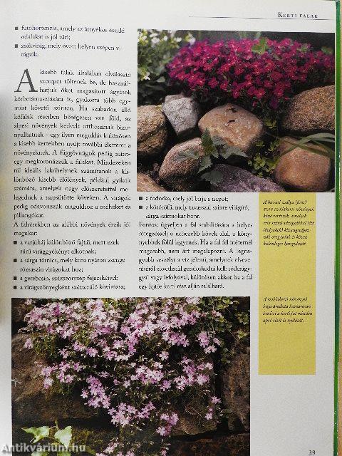 Kiskertek csinosítása