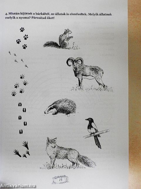 Az Ószövetség hősei