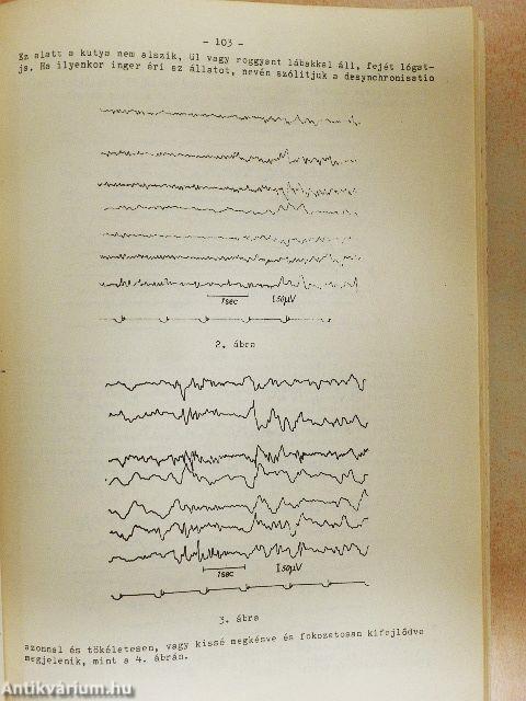 Klinikai electrophysiologia