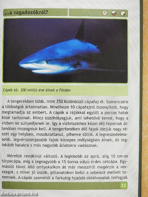 Mit kell tudni a ragadozókról?