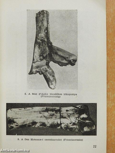 A művészetek őskora