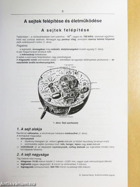 Anatómia-élettan jegyzet