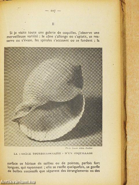 Apprendre a écrire I.