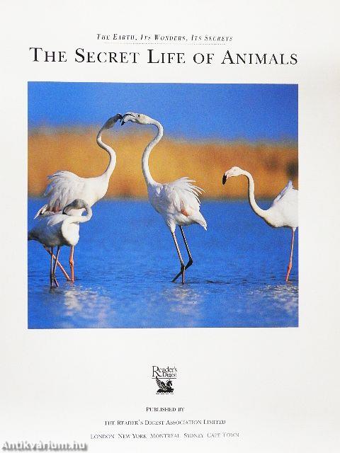 The Secret Life of Animals