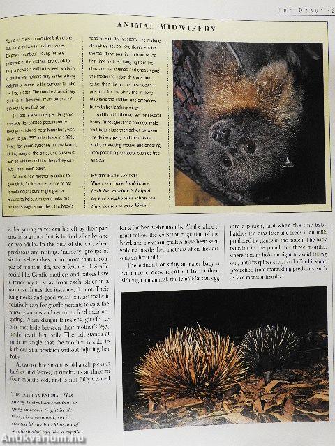 The Secret Life of Animals