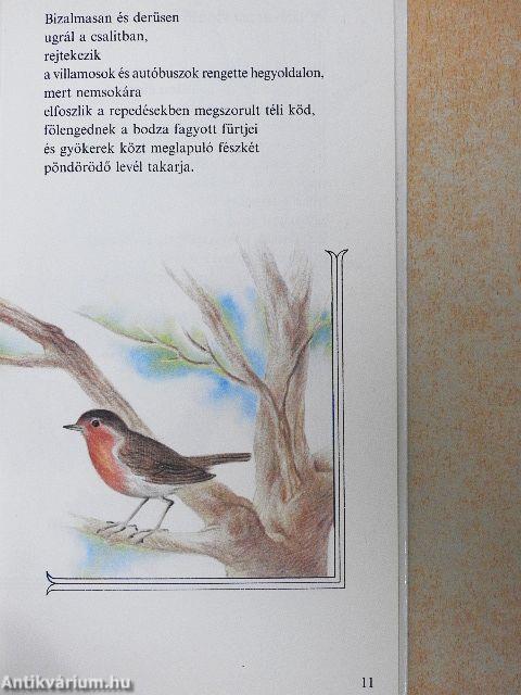 A bohóc seregélyek