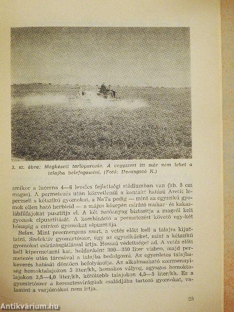 A takarmánylucerna termesztése, védelme és betakarítása