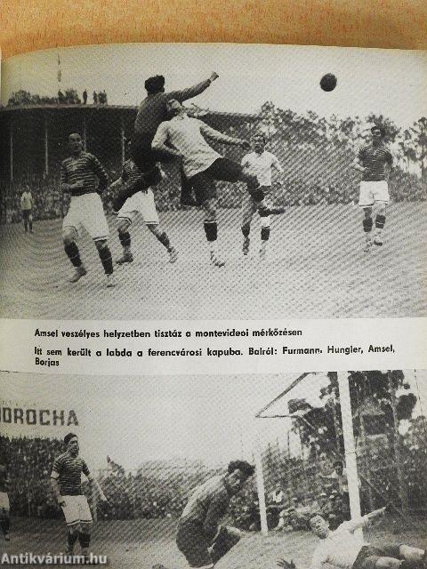 Fradisták fényképalbuma